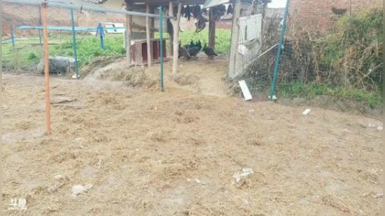 快乐的一天又来喽 2020-02-10 12点场