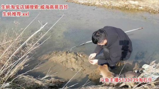 西北老狼哥哥发布了一个斗鱼视频2020-02-10