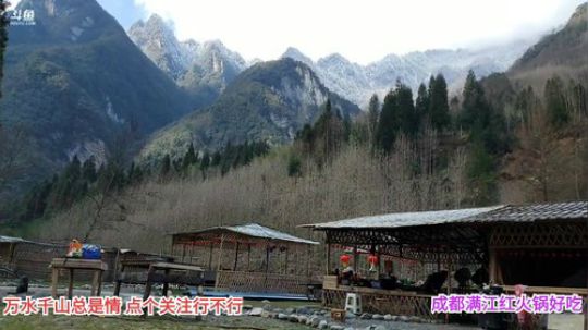 深山大咖加油(≧ω≦)/ 2020-02-10 11点场