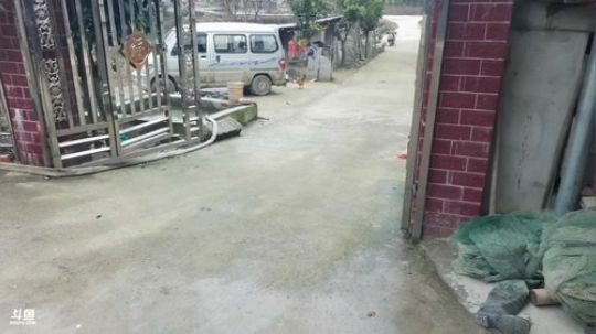 12点开播。 2020-02-10 11点场