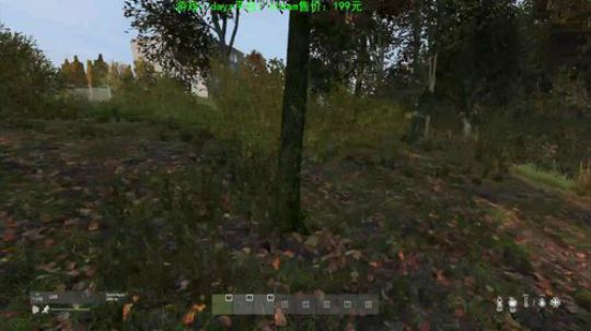dayz 僵尸末日（打打僵尸唠唠嗑） 2020-02-09 20点场