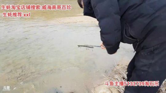 西北老狼哥哥发布了一个斗鱼视频2020-02-11