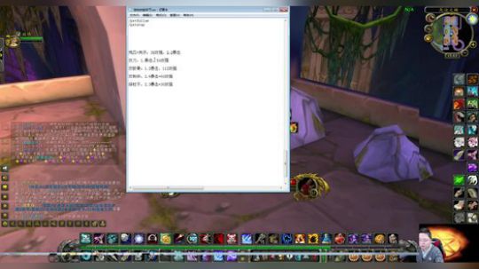 魔兽世界怀旧服：黑翼在即双持武器你选好了吗？小伙高暴击，你呢