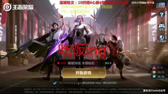 国服露娜带粉微信区区 2020-02-07 20点场