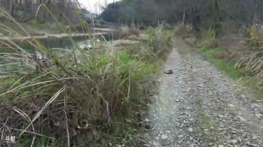 天气晴朗好收货？？ 2020-02-11 11点场