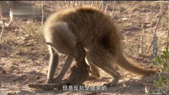 静思世语发布了一个斗鱼视频2020-02-11