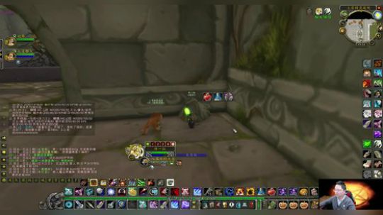 魔兽世界怀旧服：小伙私人定制单刷厄运西镇长的极品电池，太酷了