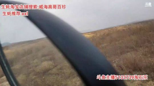 龙马精神丶老狼哥发布了一个斗鱼视频2020-02-11