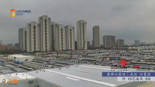为天使护航——我们一起云陪伴 2020-02-11 13点场