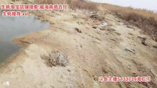 西北老狼哥哥发布了一个斗鱼视频2020-02-11