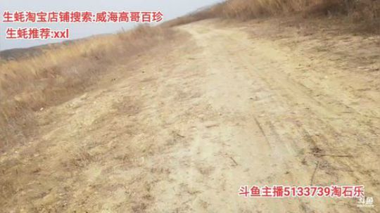 龙马精神丶老狼哥发布了一个斗鱼视频2020-02-11