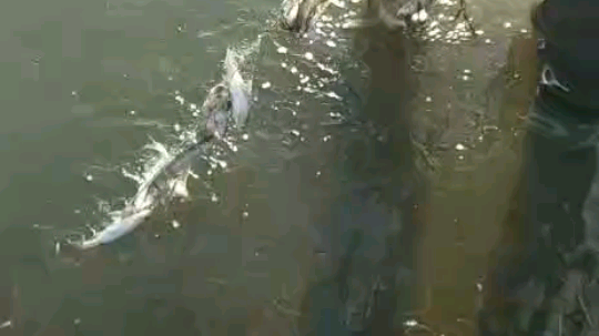 爆网