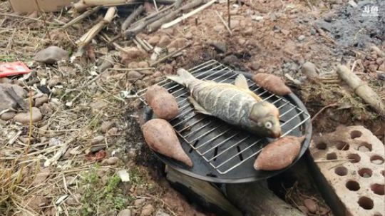 大家好久不见，新年快乐 2020-02-12 14点场