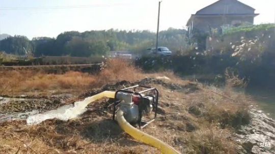 干二伯家鱼塘。 2020-02-12 15点场