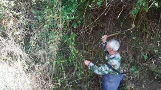 干二伯家近口. 2020-02-12 11点场