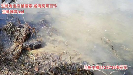 西北老狼哥哥发布了一个斗鱼视频2020-02-12