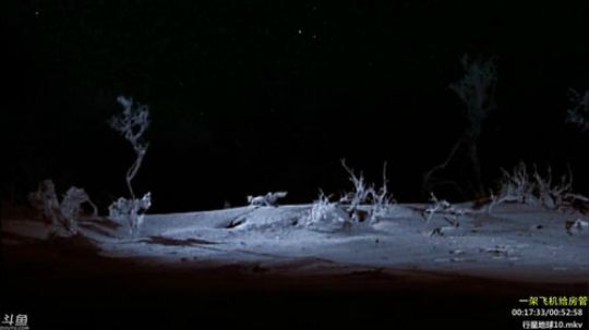 静思世语发布了一个斗鱼视频2020-02-13