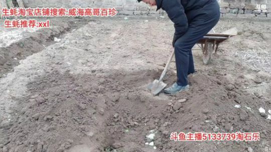 西北老狼哥哥发布了一个斗鱼视频2020-02-14