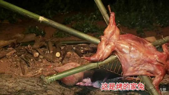 《守村人》244548的直播间 2020-02-14 20点场