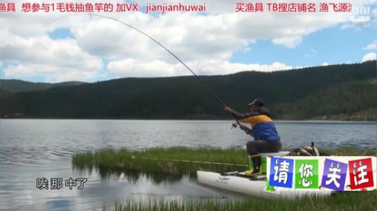 我在斗鱼看贱贱钓鱼直播乡野