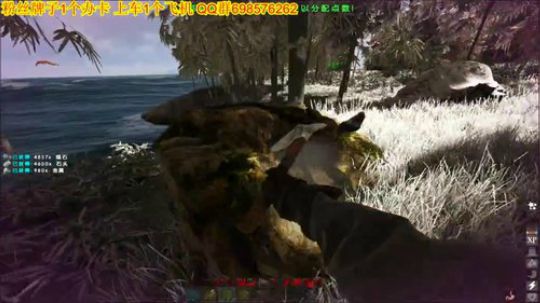 ❤️✨❤️何时重启2020 2020-02-13 20点场