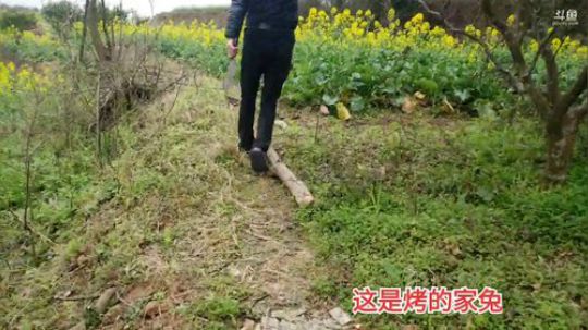 《守村人》244548的直播间 2020-02-15 12点场