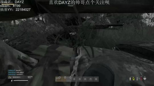 DAYZ:新地图冒险