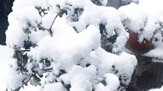 希望这次大雪过后一切安好