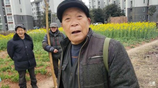 我在斗鱼看叶子户外直播户外