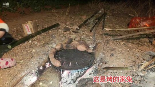 《守村人》244548的直播间 2020-02-15 00点场