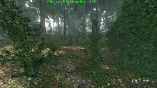 dayz韩爱东西的直播间 2020-02-14 21点场