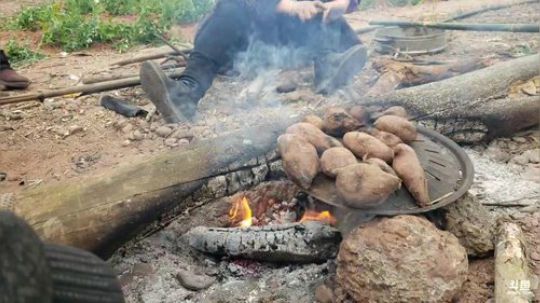 《守村人》244548的直播间 2020-02-15 16点场