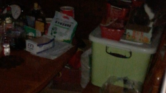 蛇门灵宠行窃录像