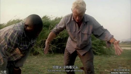 静思世语发布了一个斗鱼视频2020-02-16