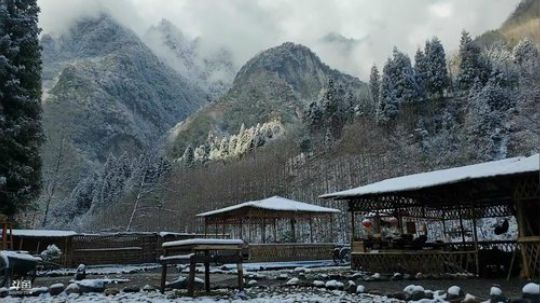 下雪啦(≧ω≦)/ 2020-02-16 10点场