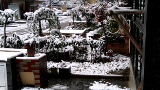 美丽的风景雪下的有点厚