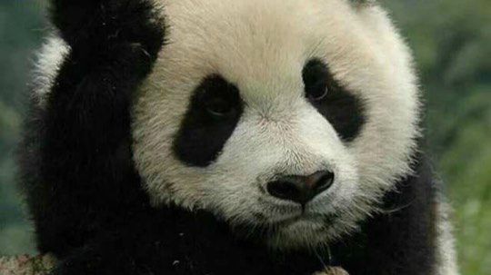 没几天了珍惜机会