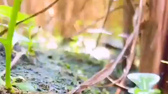 啦啦啦