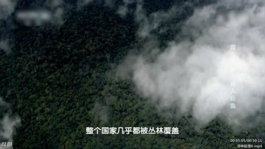 静思世语发布了一个斗鱼视频2020-02-17