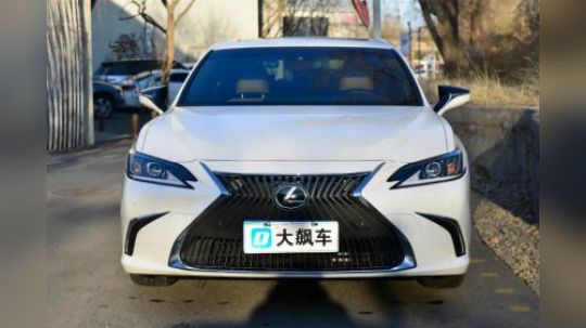 外观前卫内饰复古，这就是ES，像个谜。