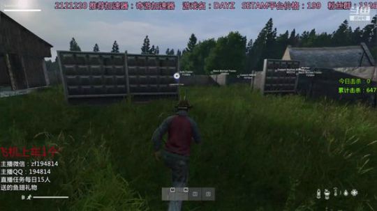 DAYZ技术主播有问题问主播 2020-02-16 14点场