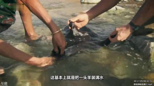 护法惊丶发布了一个斗鱼视频2020-02-17