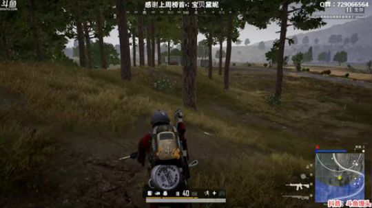 馒头：上分中 不浪 稳健 2020-02-13 05点场