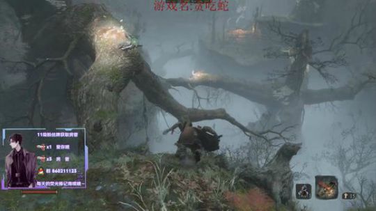 南枫：只狼无佛珠1葫芦通关 2020-02-13 10点场