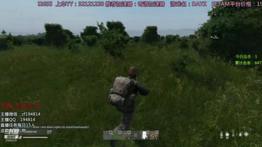 DAYZ技术主播有问题问主播 2020-02-16 16点场