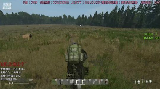 DAYZ技术主播有问题问主播 2020-02-17 05点场