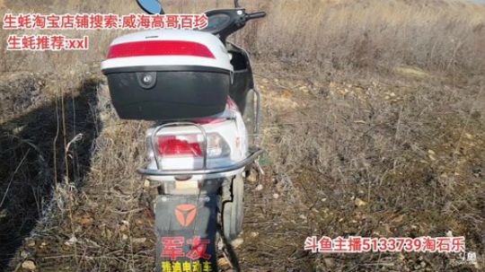 龙马精神丶老狼哥发布了一个斗鱼视频2020-02-18