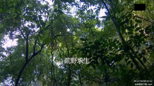 户外遛狗王飞哥发布了一个斗鱼视频2020-02-18