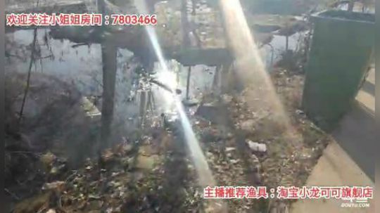 十一郎君01发布了一个斗鱼视频2020-02-18