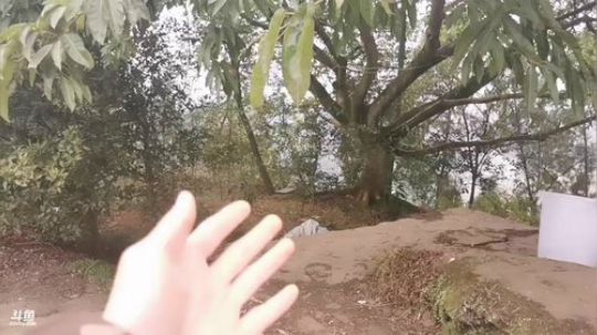 陪伴的一天  757122 2020-02-18 15点场